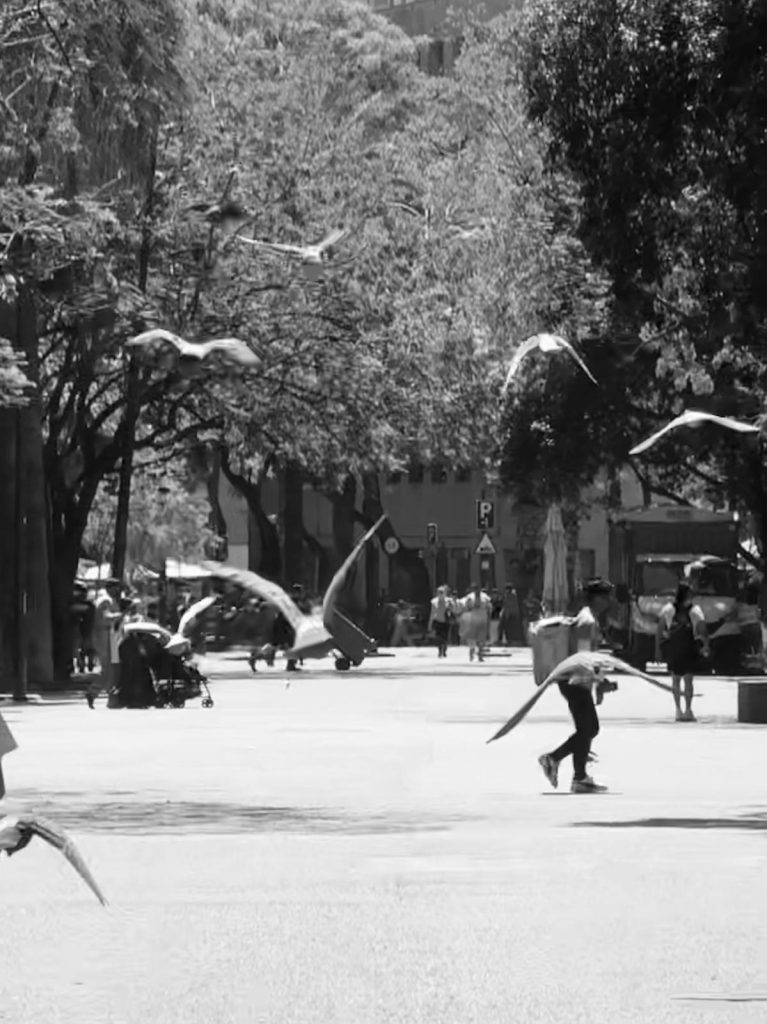 fotografia de João Fábio Cabral