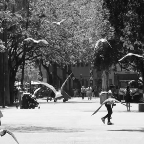 fotografia de João Fábio Cabral